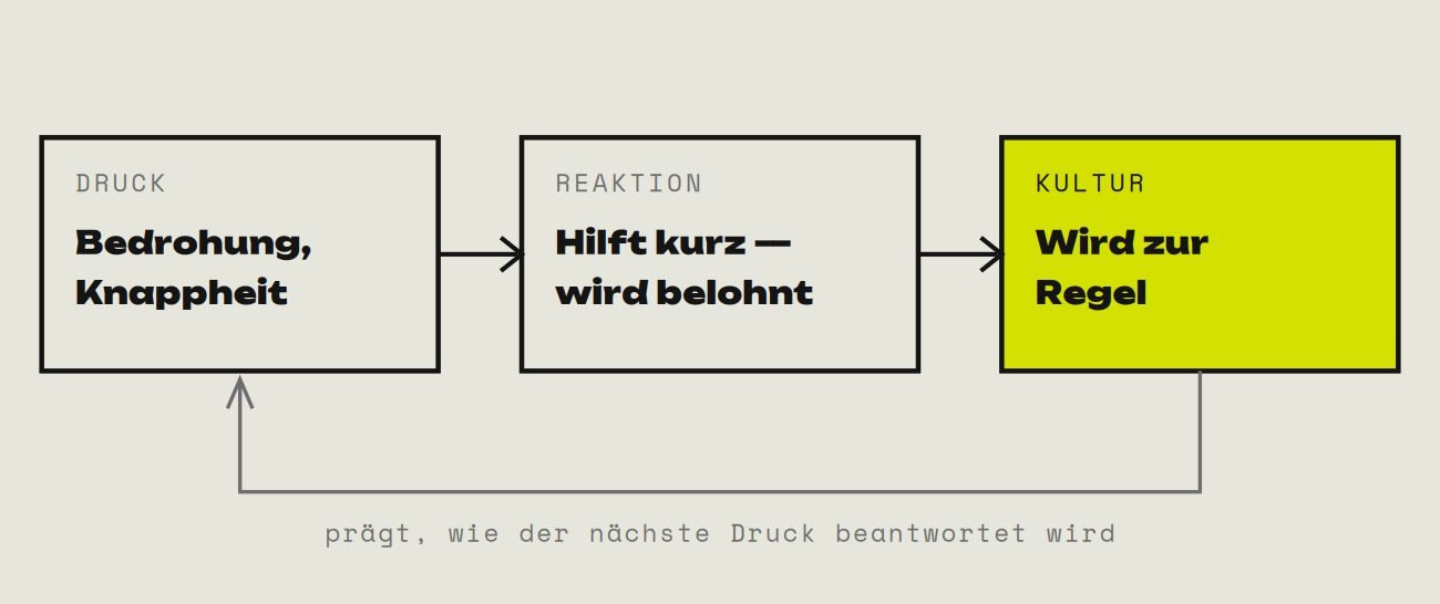 Ein Kreislauf aus Druck durch Bedrohung oder Knappheit, einer Reaktion, die kurz hilft und belohnt wird, und einer Regel, die prägt, wie der nächste Druck beantwortet wird