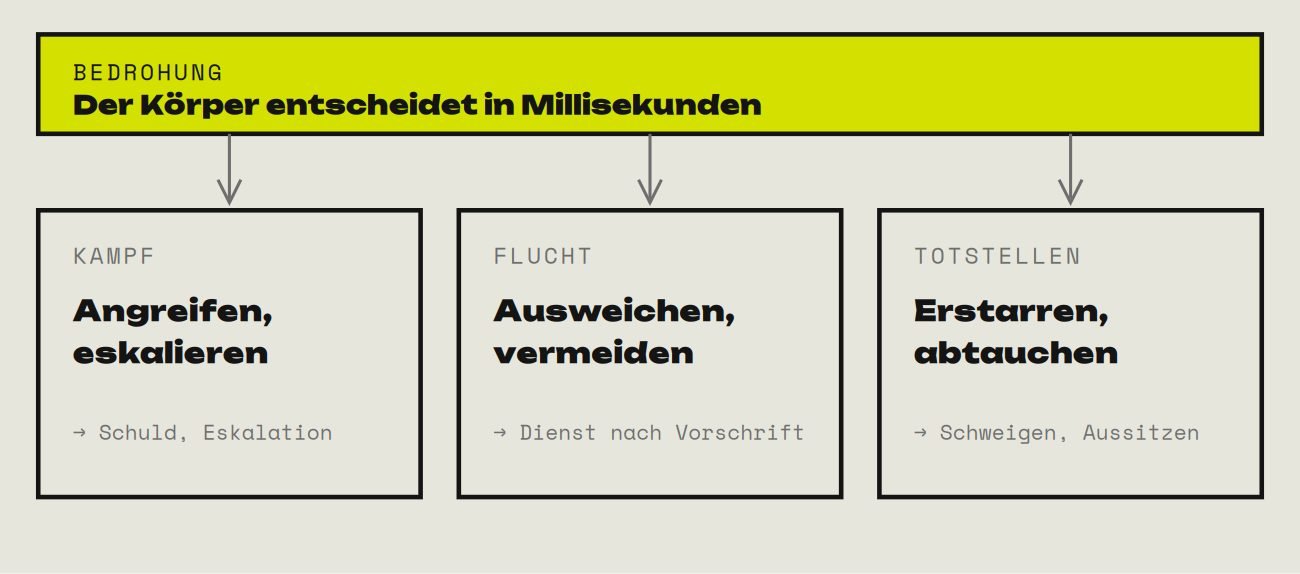 Drei Spalten mit den Reaktionen Kampf, Flucht und Totstellen und ihren Entsprechungen im Büro: Schuld und Eskalation, Dienst nach Vorschrift, Schweigen und Aussitzen